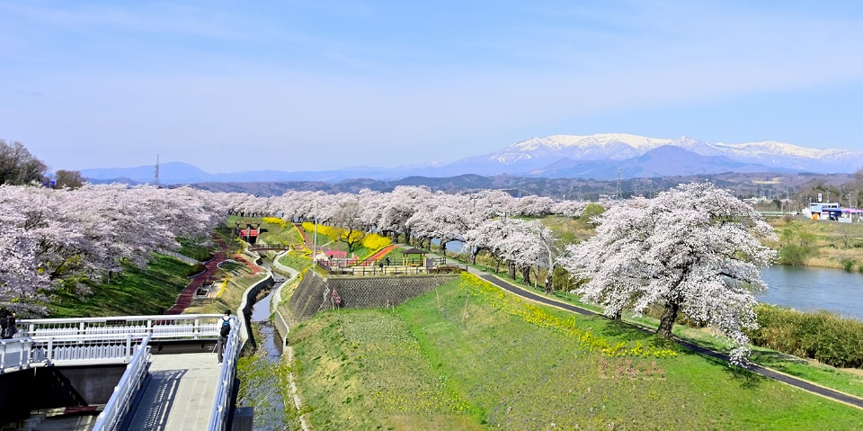 昭和52年の設立から今日まで安定成長を遂げています。